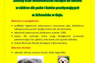 Ruszyła zbiórka dla bezdomnych zwierząt w Schronisku w Gaju