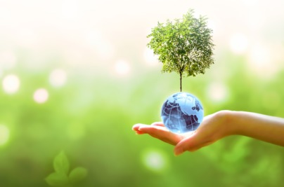 „JAK JA I MOJA RODZINA DBAMY O NASZĄ PLANETĘ” – projekt edukacyjny z okazji Międzynarodowego Dnia Ziemi