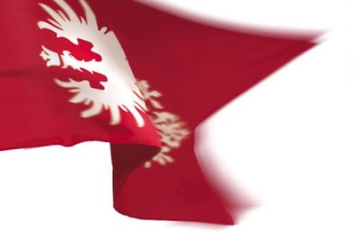 Regulamin IV Powiatowego Konkursu Historycznego „Pamiętamy o Powstaniu Wielkopolskim”