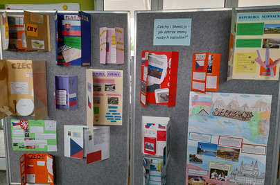 Podsumowanie projektu 