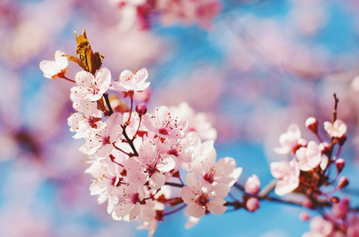 Uczniowie klas I-III powitali wiosnę