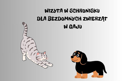 Wyjazd do Schroniska dla Bezdomnych Zwierząt w Gaju